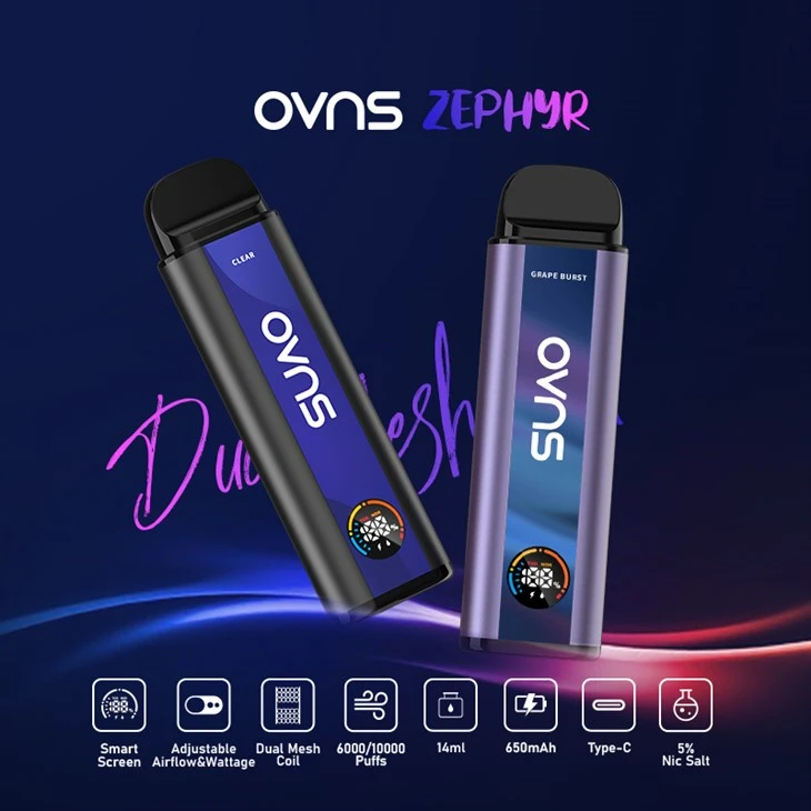E Cig10000 Puffs Smart Screen dva radna režima